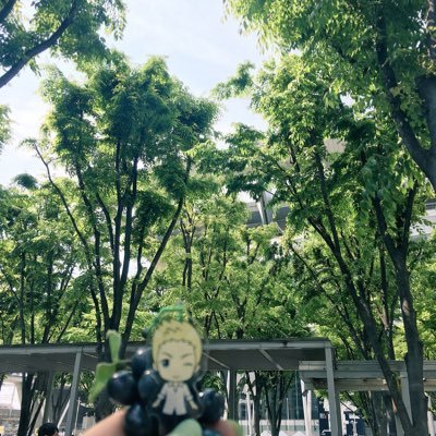 かみた🌟さんのプロフィール画像