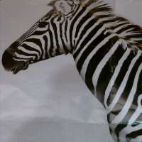 jayept's profile picture. 