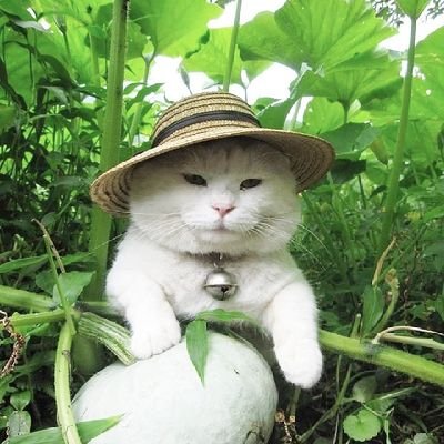 /-||_7さんのプロフィール画像