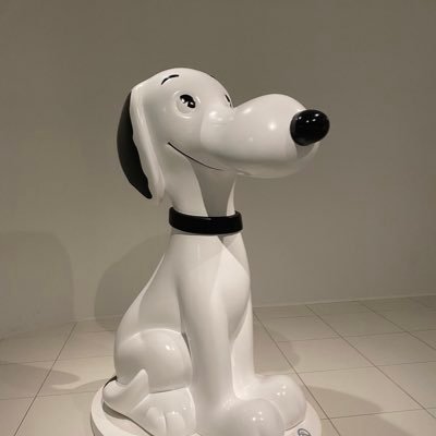 hayasho9999's profile picture. tokai