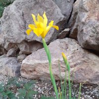 Bebel29 🇨🇵✝️🇮🇹🇮🇱🎗 (@bebelh83) 's Twitter Profile