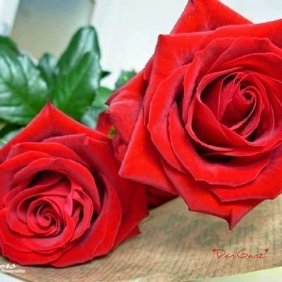 htwmy152's profile picture. عشق روح