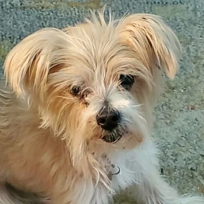 binknoid's profile picture. I'm cute