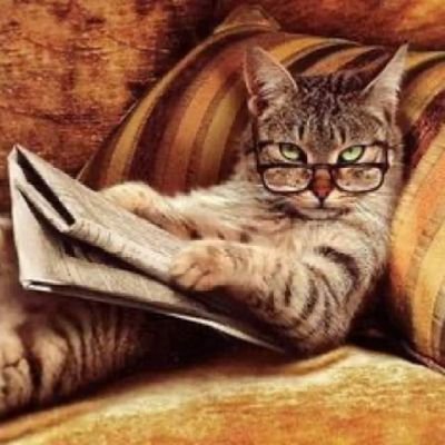 Di_Shaktar's profile picture. CS graduate | Purple teamer  Enthusiast| Vulnerability researcher | learning Computer Forensics.