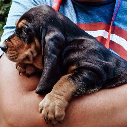 ivannr121's profile picture. 