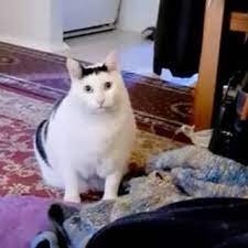 Ксения Романова (💙,🧡) Profile