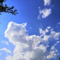 Käthchen (@k4dd4l0g) Twitter profile photo