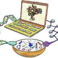 Schlick Lab (@schlicklab) 's Twitter Profile Photo Schlick Lab (@schlicklab) 's Twitter Profile Photo