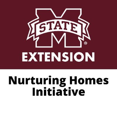 NHI’s mission is to improve the quality of the early educational experiences provided in family childcare homes. #MSUext