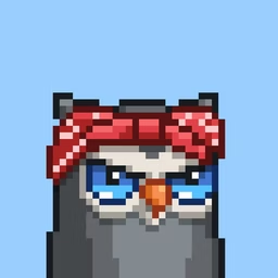 vitefev's profile picture. 