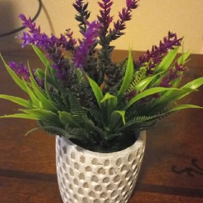 GichuhiM's profile picture. Always Grateful