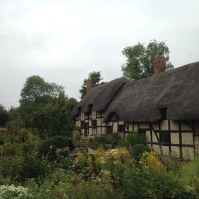 ATKappelhoff's profile picture. 