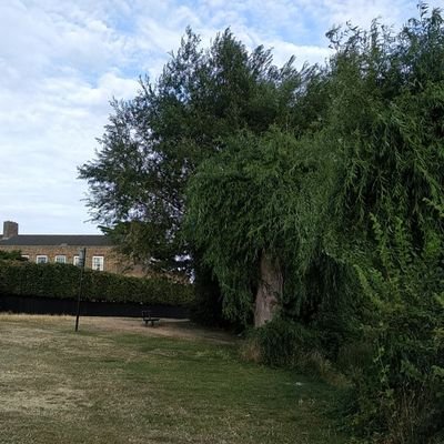 gr8ganesh21's profile picture. 