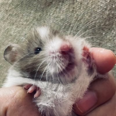 ธิดาของเจฟ 🪐さんのプロフィール画像