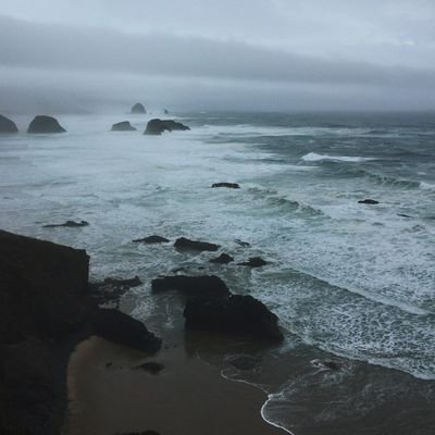 bugsandcoffee's profile picture. Fannish and opinionated person. Just here to have fun. I enjoy pretty things, collecting, movies, books, and comics. they/them. currently on a hiatus.