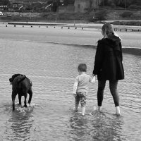 Therese Egan (@thereseegan2) 's Twitter Profile
