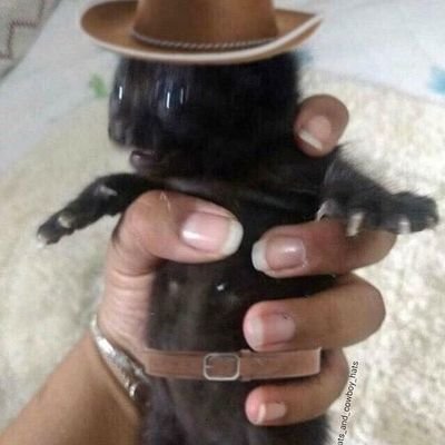 Nielzito___'s profile picture. Mo paz
