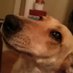 Stephanie - Pass #HR1698 (@stephan11906964) Twitter profile photo Stephanie - Pass #HR1698 (@stephan11906964) Twitter profile photo