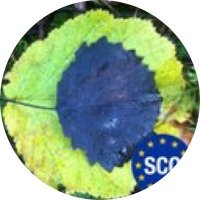 Andrew Thompson ๐บ๐ฆ๐ฆ๐ซ๐งก๐ท๐ฎ๐ช๐ด๓ ง๓ ข๓ ณ๓ ฃ๓ ด๓ ฟ๐ช๐บ (@_polinard) 's Twitter Profile