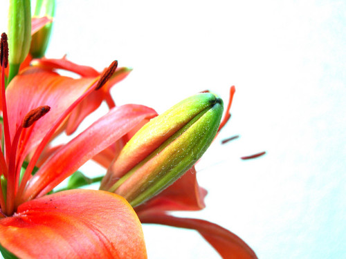 _Olaaa's profile picture. Geniet van het studentenbestaan ;)