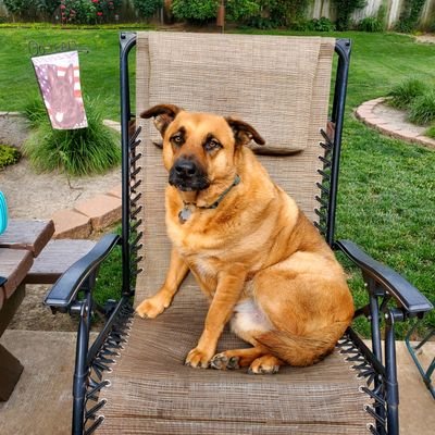 Trump is GUILTY ❤️my dog gardening 🇺🇦 NO PORN
VOTE BLUE NO GUNS Ukraine NO MAGA BLM
LBGTQ NO CRYPTO
FIGHTING CANCER,
NO DMs!!!
🌊💙🌊💙🌊