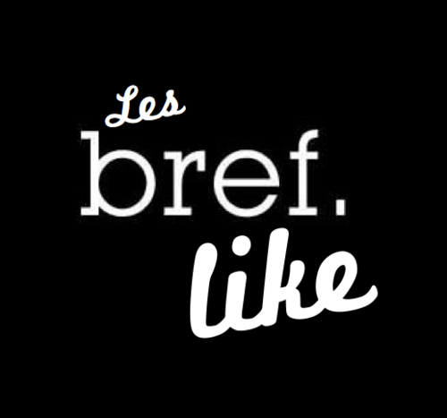 Retrouvez ici les Bref Likes = vidéos amateurs reprenant le concept de la série Bref. L'un des élèves dépassera-t-il le maitre..?? A vous de juger ! Vidéos: