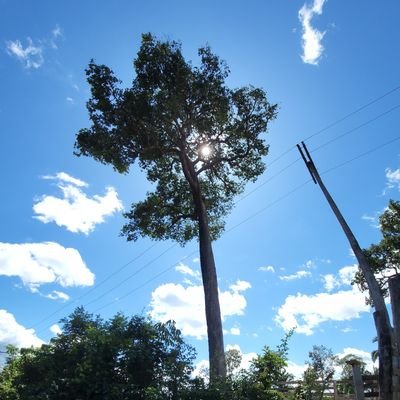 I'm a photographer living in the Amazon, my account to demonstrate several beautiful images of Brazil, especially its environmental preservation, forest, rivers