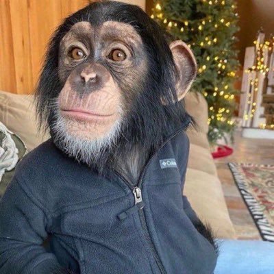 glorytothegods's profile picture. 