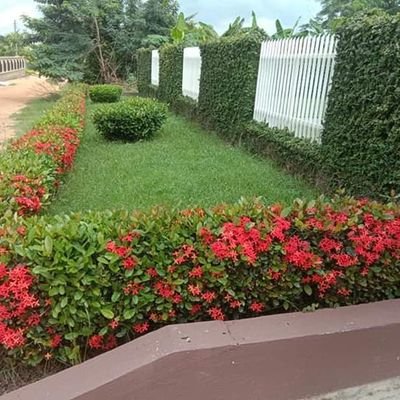 EricNutakor4's profile picture. 