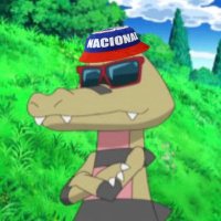 Kroko bolso (@krokobolso) 's Twitter Profile