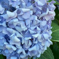 Jacquelyn (@jelward7) 's Twitter Profile