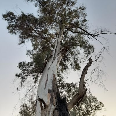 danitzadelgad14's profile picture. Naturaleza,animales, plantas, y amor del bueno...