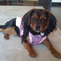 numa (@taka_numa) 's Twitter Profile Photo