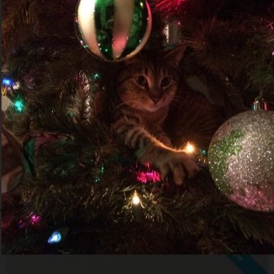 RRC99035161's profile picture. 