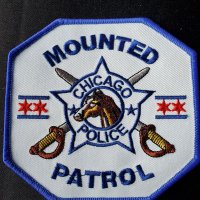 ChicagoMountedUnit(@CPDMountedUnit) 's Twitter Profileg