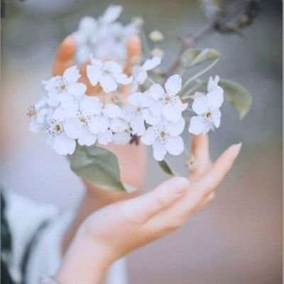 merooo51575's profile picture. (وَمَا ذَٰلِكَ عَلَى اللَّهِ بِعَزِيزٍ )❤️