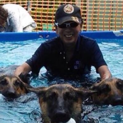 毎日、多くの犬達囲まれて自然の中でノー天気な生活を過ごしています。後は時間が有ればゴルフと温泉にドップリと楽しい日々を過ごしています。 愚痴を言わず人を恨まず全てを許せる心を持って。