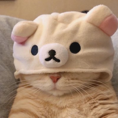 siggro_'s profile picture. 