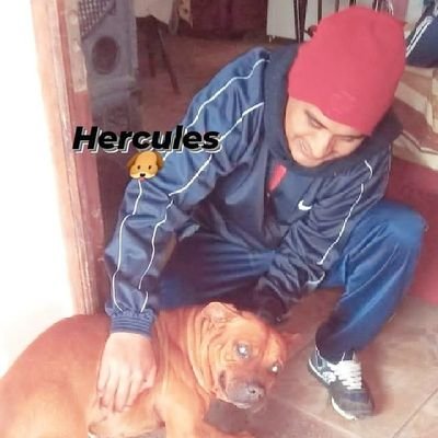 Profesor de Educacion Fisica
Arbol de la vida