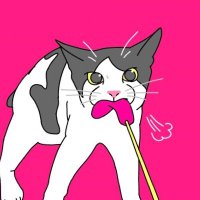 たいに~ (@tiny_jun) 's Twitter Profile