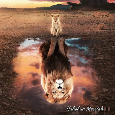 YahwehsShadow's profile picture. A servant of the most high Yahweh 2Thessalonians 3:3 But the Lord is faithful, who shall stablish you, and keep you from evil.