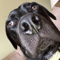 Dan Coleman (@dan_coleman9) 's Twitter Profile