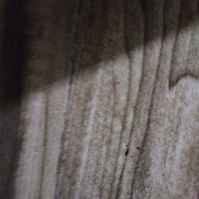 Bonju87's profile picture. jualan