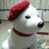Hama-Chan (@hamachanpom) 's Twitter Profile Photo Hama-Chan (@hamachanpom) 's Twitter Profile Photo