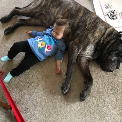 sfmartin@bevcomm.net Profile