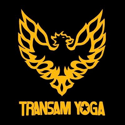transamyoga's profile picture. 高円寺にあるジム、MYDを拠点にヨガレッスンを行っています。こちらのアカウントからレッスン情報、予定をツイート致します🧘🏿  火木金11:00〜12:00、土20:30〜21:30、日16:00〜17:00 お問合せはDMください!