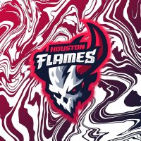Houston Flames (@houstonflamesgg) 's Twitter Profile