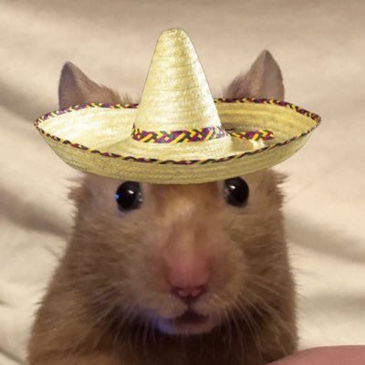 ppluvr2's profile picture. I luv peepy