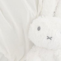C (@cherry_38568) Twitter profile photo