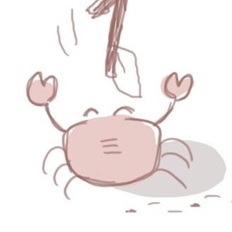 ゆきいるか🐬さんのプロフィール画像